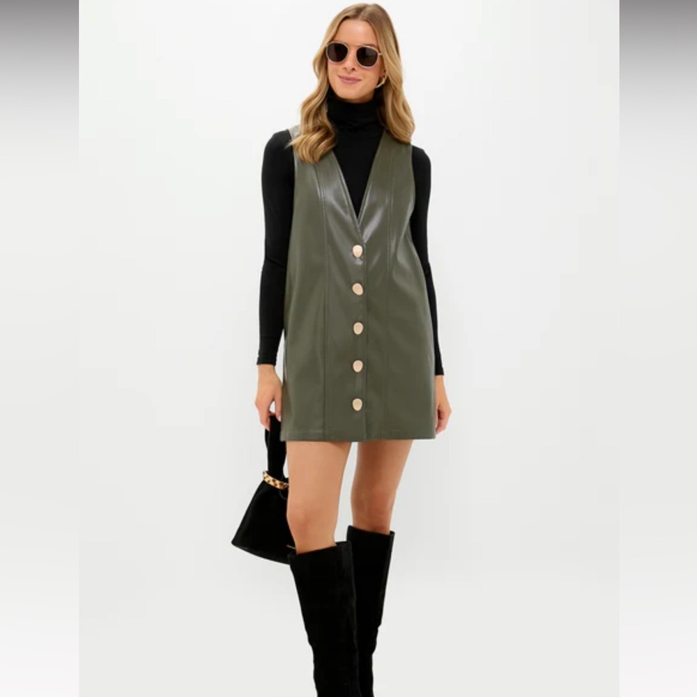 Tuckernuck Leather Dress